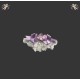 Iris De Nuit Angelonia Flower Wall Blouse JSKs and One Piece(Reservation/2 Colours/Full Payment Without Shipping)